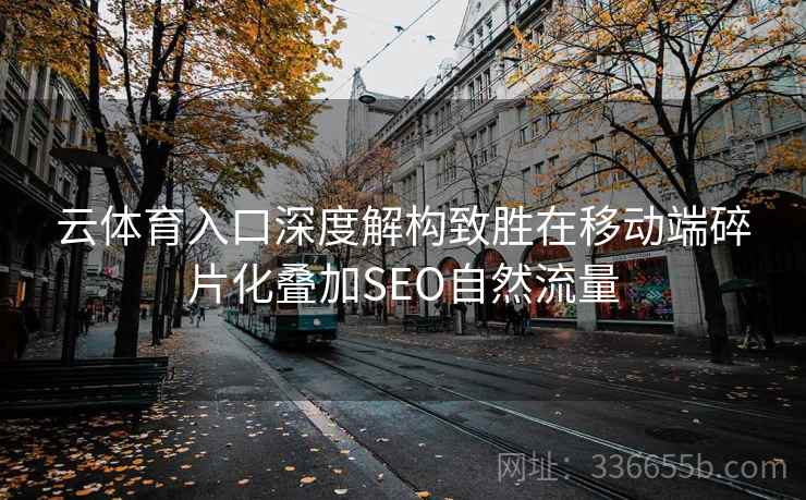 云体育入口深度解构致胜在移动端碎片化叠加SEO自然流量
