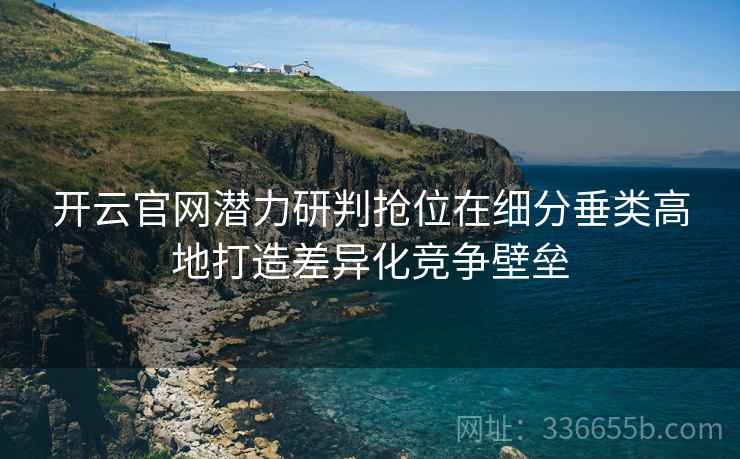 开云官网潜力研判抢位在细分垂类高地打造差异化竞争壁垒