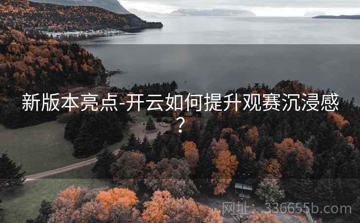 新版本亮点-开云如何提升观赛沉浸感？