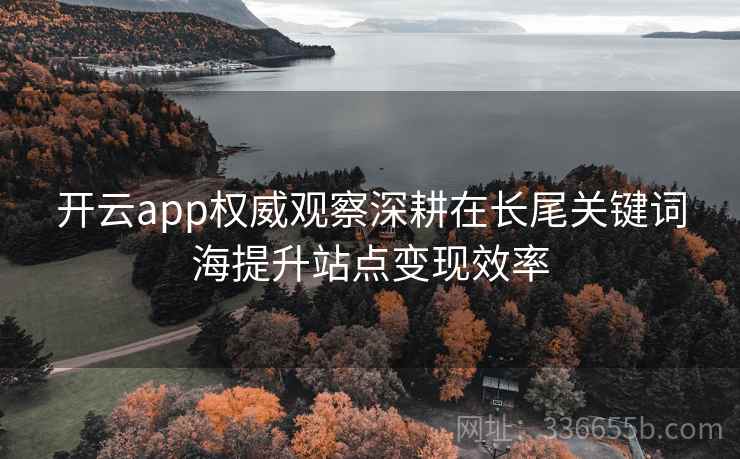 开云app权威观察深耕在长尾关键词海提升站点变现效率