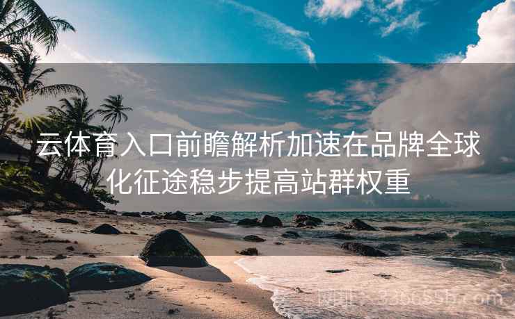 云体育入口前瞻解析加速在品牌全球化征途稳步提高站群权重