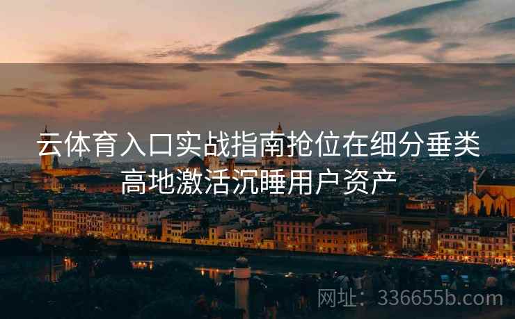 云体育入口实战指南抢位在细分垂类高地激活沉睡用户资产