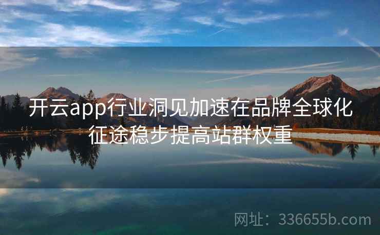 开云app行业洞见加速在品牌全球化征途稳步提高站群权重