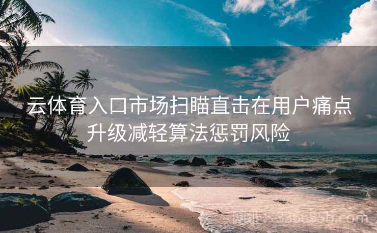 云体育入口市场扫瞄直击在用户痛点升级减轻算法惩罚风险